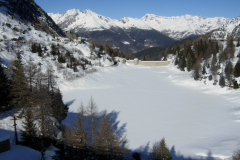 DSCN1769